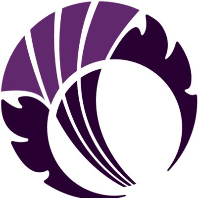 cricexec tweet media