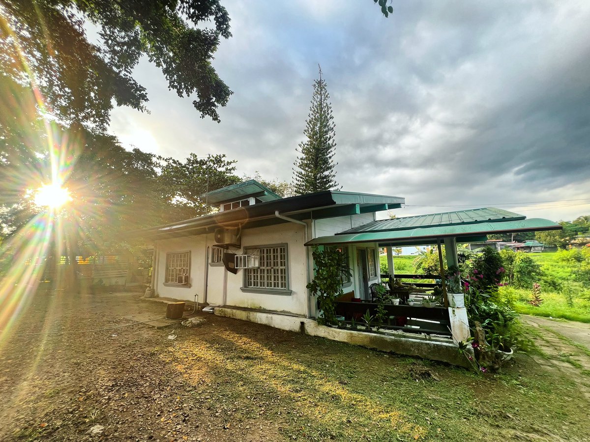 iamjuanthegreat's tweet photo. Our little piece of provincial paradise…. This is Villa Anita 🤗♥️🌲
#farmlife #farmhouse #weekend #provinciallife #nature #environment #flowers #trees #landscapephotography https://t.co/nDlLNAf5zg