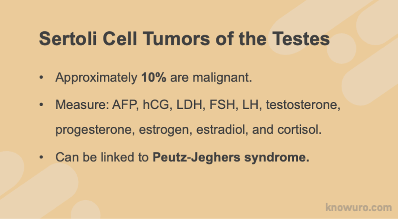 knowuro's tweet photo. Hello #urologists!

Sertoli cell tumors = rare (1% of testicular neoplasms)
Here are some key insights for your daily practice. 🏥 
Let's spark your curiosity - spend 10 minutes diving into this topic today! 🧐 Check out this paper: https://t.co/jwxTwZeUqo

#urology #studyurology https://t.co/5prdtMfsfb