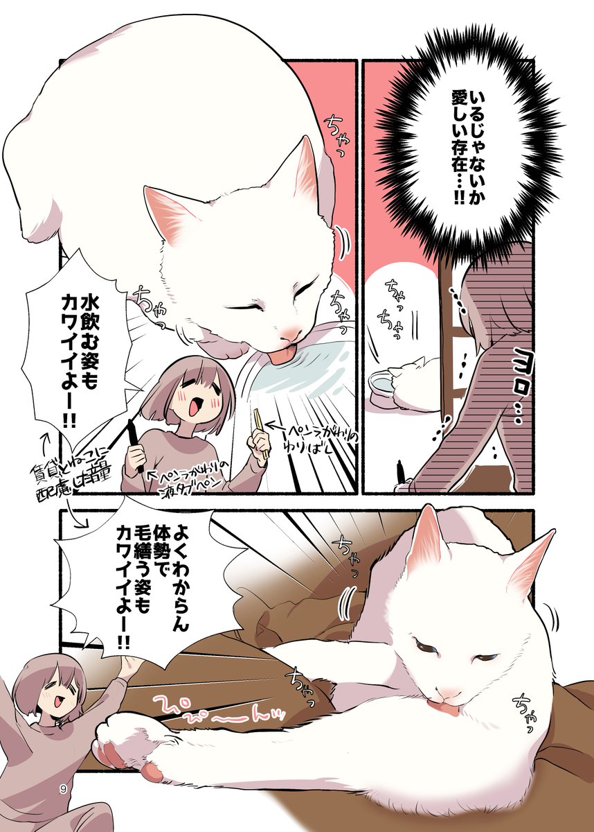 コロナ禍で新たな推し活に目覚めた話 再掲(2/2) #愛されたがりの白猫ミコさん #漫画が読めるハッシュタグ