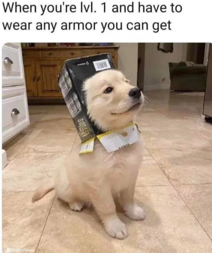 Image posted by mrgao98