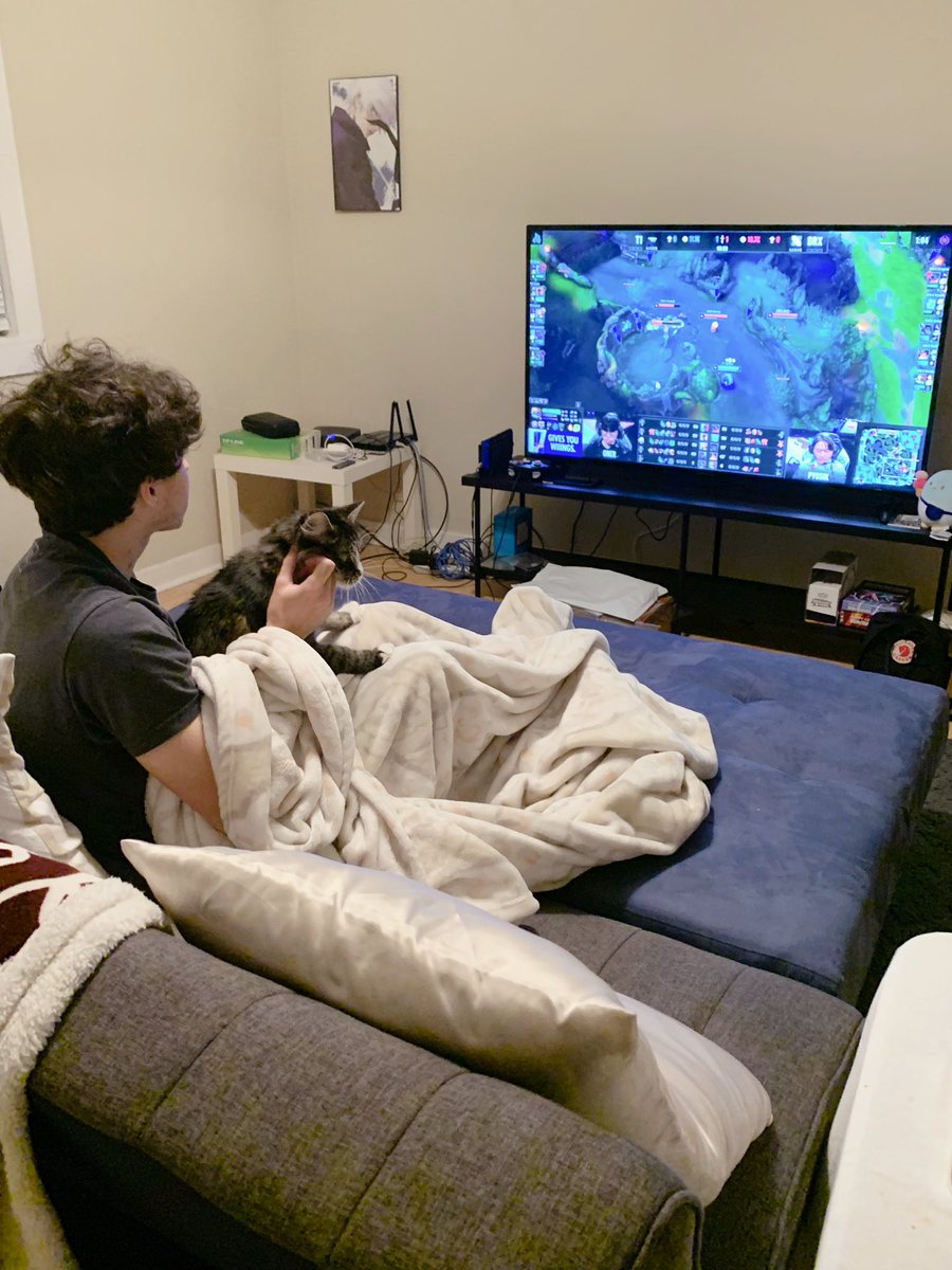 tina 🌷⊹ tweet media