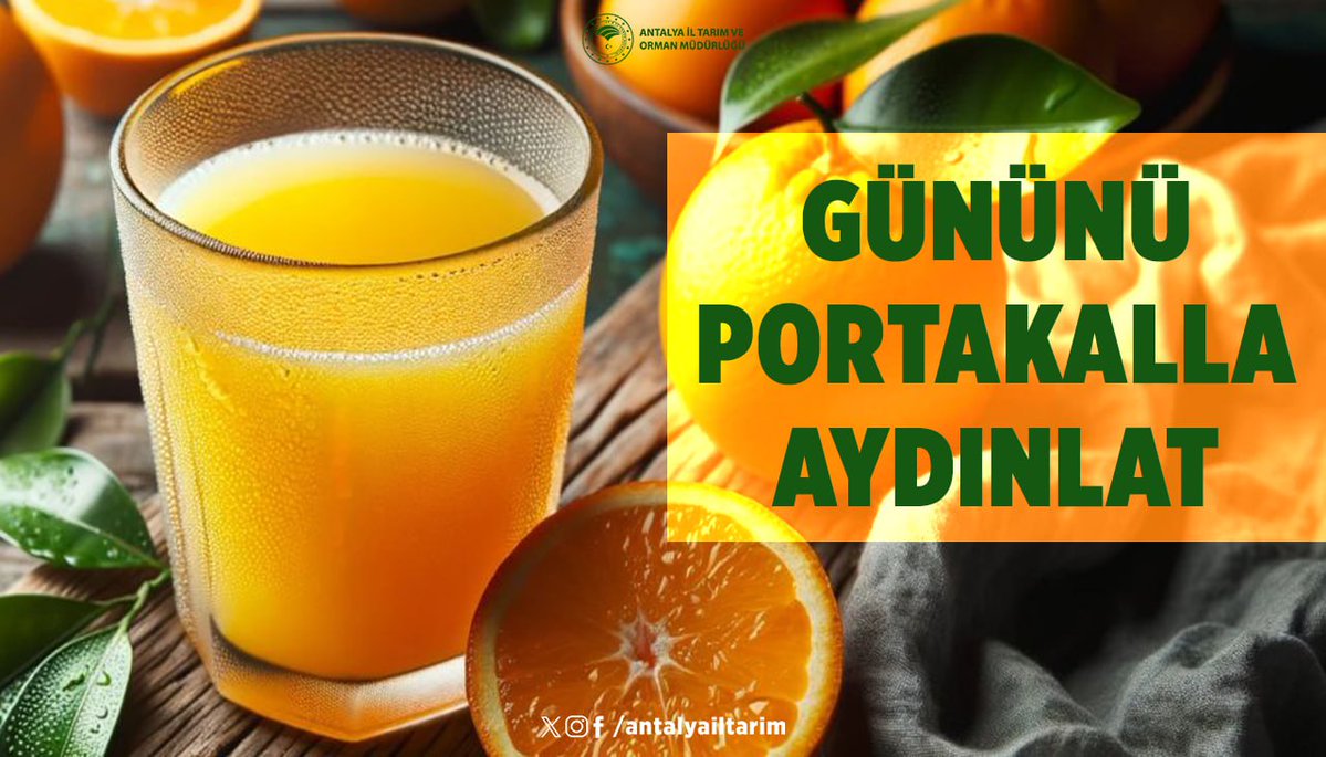 Antalya'mızın çalışkan çiftçilerinin sizler için ürettiği Portakalı her gün sağlıkla ve afiyetle tüketebilirsiniz. #PortakalSağlıktır 

#GelecekTarımda 
#TarımAntalyada

<a href="/ibrahimyumakli/">İbrahim Yumaklı</a>
<a href="/FratErkal/">Fırat Erkal</a>