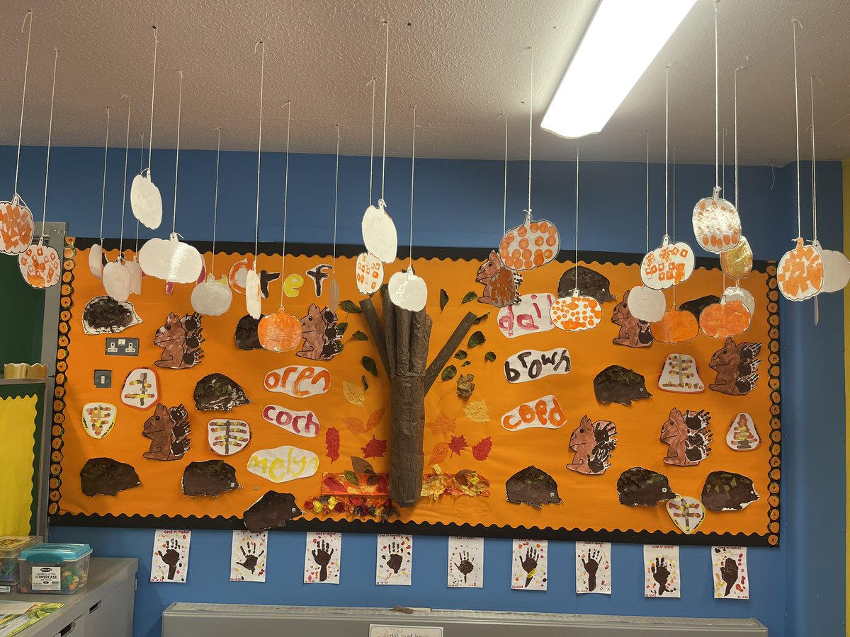 Murluniau ein dosbarth yr wythnos hon. 
⭐️Taith ddysgu ar weithgareddau hwylus yr hanner tymor yma
🦔 Murlun o waith y plant sy’n cynnwys draenogod, wiwerod , coed a phwmpenni

Hanner tymor hapus i chi blant! 😀🧡🤎❤️💛