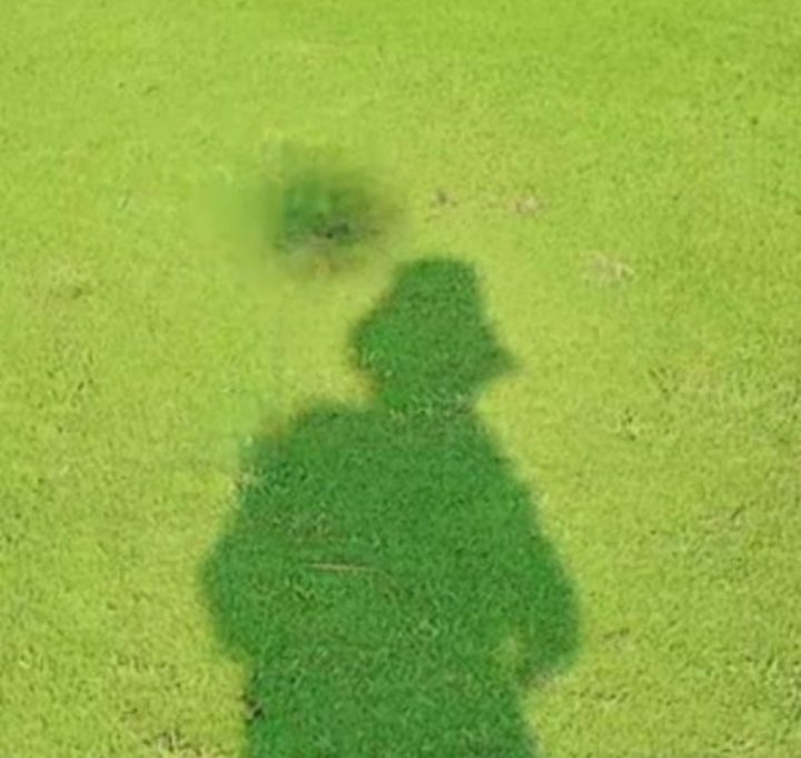 沙小林 (@ljialing527) on Twitter photo 