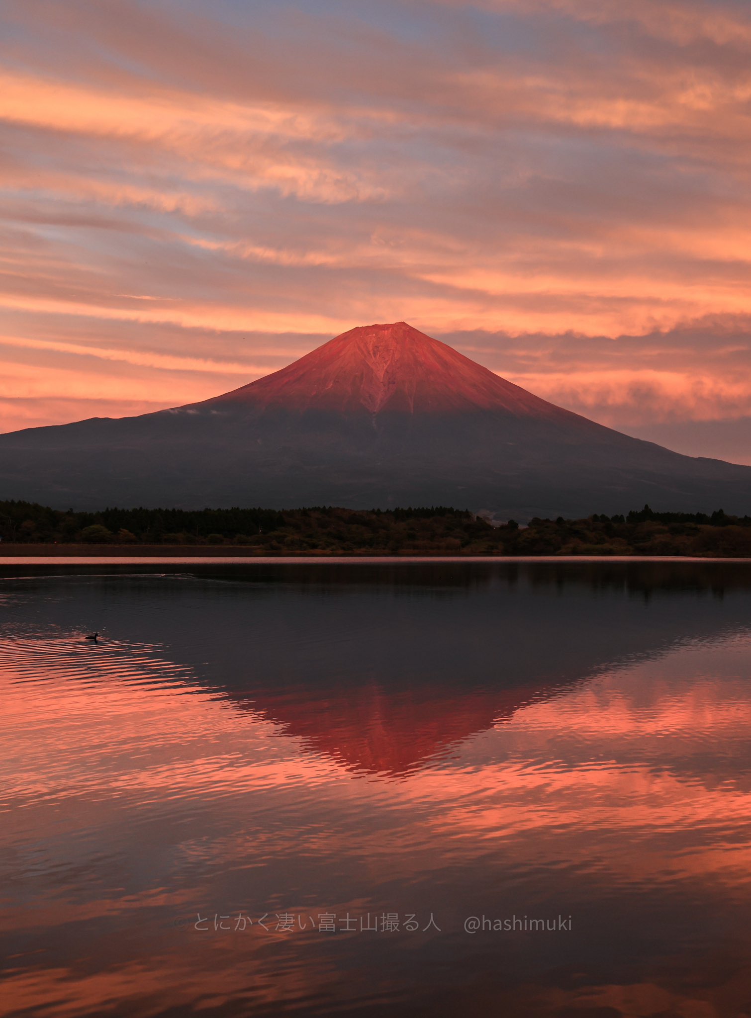 とにかく凄い富士山撮る人🗻橋向 真 (@MakotoHashimuki) / X