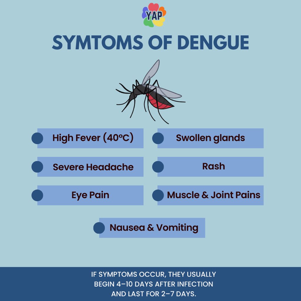 yap23_org's tweet photo. Dengue symptoms are not to be taken lightly. Be aware of the signs and act quickly to seek medical attention if you experience any of them.  

#YAP #YAPPERZ #AntiDengueAwareness https://t.co/66baJ1pcih