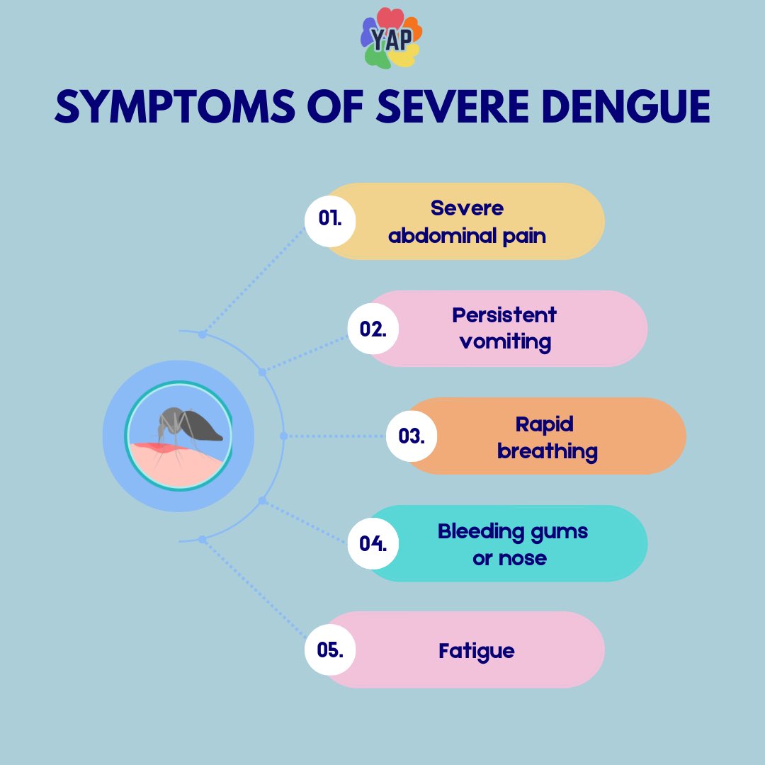 yap23_org's tweet photo. Dengue symptoms are not to be taken lightly. Be aware of the signs and act quickly to seek medical attention if you experience any of them.  

#YAP #YAPPERZ #AntiDengueAwareness https://t.co/XgkDdhSLKu
