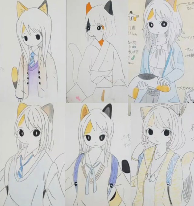 せっかくなので歴代三毛猫をまとめてみました! 