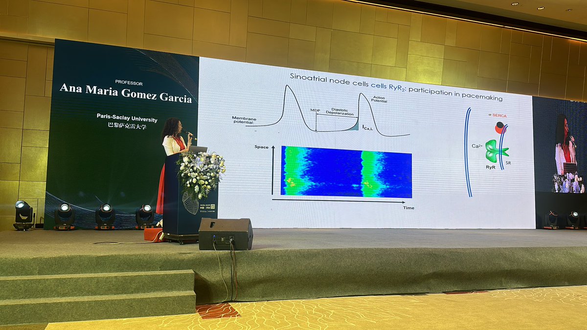 Andrew Trafford (@awtrafford) on Twitter photo <a href="/AnaMGmez4/">Ana M Gómez</a> elaborating on sex differences in RyR function in arrhythmias at 1st SCOPE conference <a href="/AnaMGmez4/">Ana M Gómez</a> elaborating on sex differences in RyR function in arrhythmias at 1st SCOPE conference