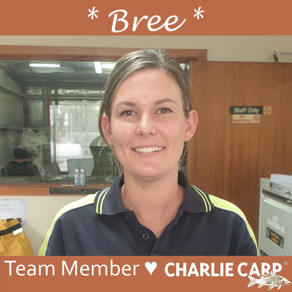 Team Member Tuesday ♥

Bree started with Charlie Carp 3 years ago. Bree keeps things running in the office and in the factory. There isn’t much she can’t do!

Tell us what you appreciate about Bree in the comments!

#StaffAppreciationPost