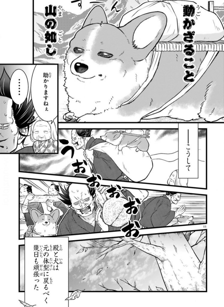 (4/4)