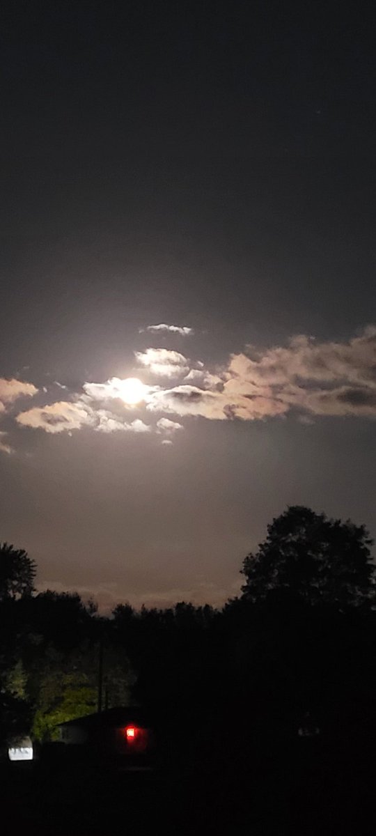 One thing about being outside and a  #golfcourse superintendent, there's always an amazing view. Whispering Pines.