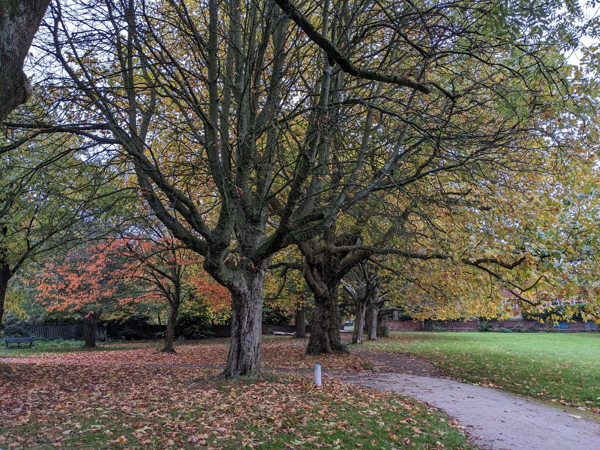 Judith Berry tweet media