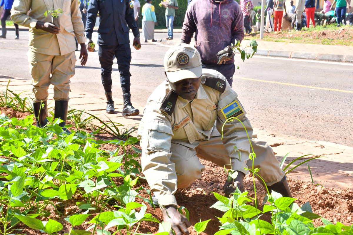 Ngoma District (@ngomadistrict) on Twitter photo #Umuganda: Muri iki gitondo, Perezida w'Inama Njyanama Bwana BANAMWANA Bernard arikumwe n'abandi bajyanama n'abagize inzego z'umutekano bifatanyije n'abaturage <a href="/kibungo_sector/">Kibungo Sector</a> mu muganda wo gutera ibiti ku buso bwa Ha 8 byanahujwe no gutangiza igihembwe cyo gutera ibiti 2023/24. #Umuganda: Muri iki gitondo, Perezida w'Inama Njyanama Bwana BANAMWANA Bernard arikumwe n'abandi bajyanama n'abagize inzego z'umutekano bifatanyije n'abaturage <a href="/kibungo_sector/">Kibungo Sector</a> mu muganda wo gutera ibiti ku buso bwa Ha 8 byanahujwe no gutangiza igihembwe cyo gutera ibiti 2023/24.