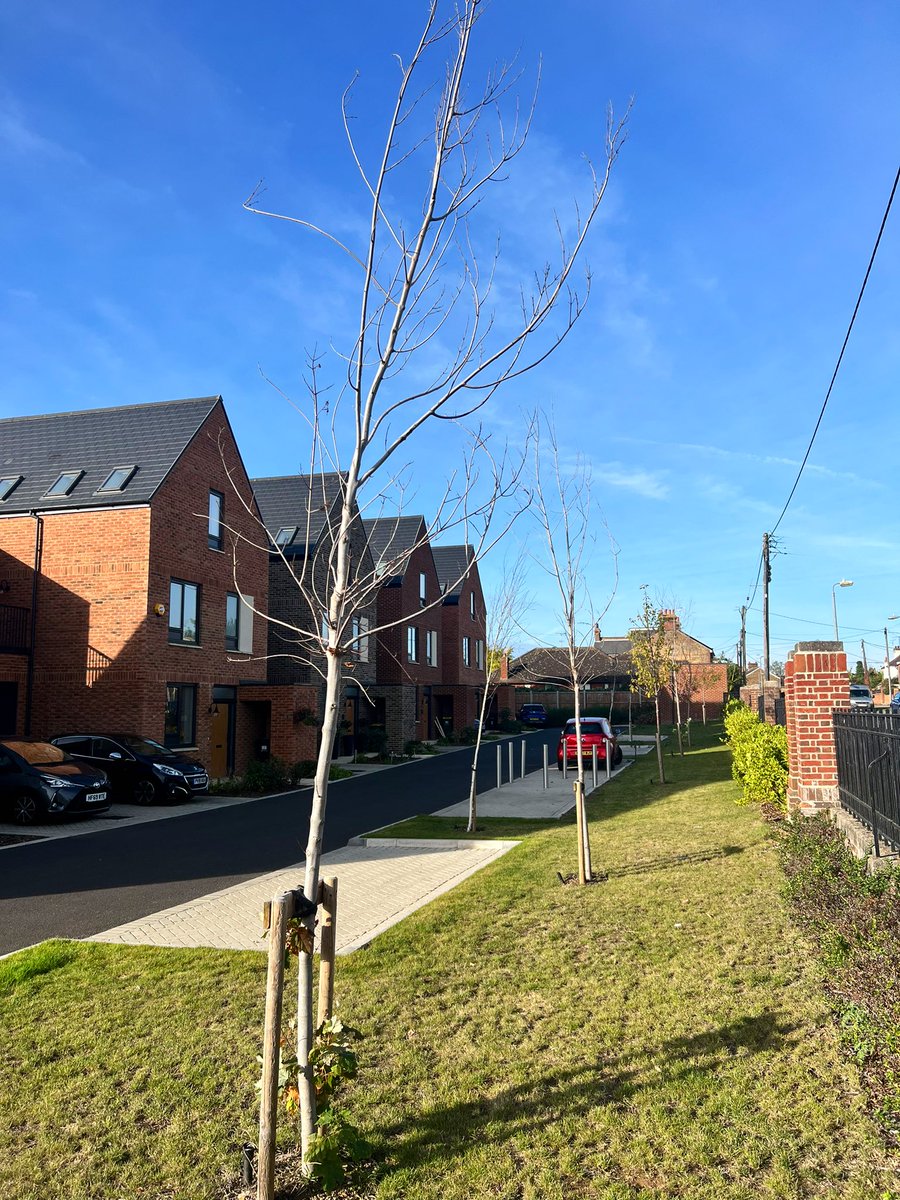 _JoelAshton's tweet image. As I travel a lot with my work, I see a lot of new build housing estates. Rarely do I see new tree planting schemes that survive past the first year. The country seems to be littered with skeletons of newly planted trees. 
As a landscaper, it frustrates me that in this industry,…