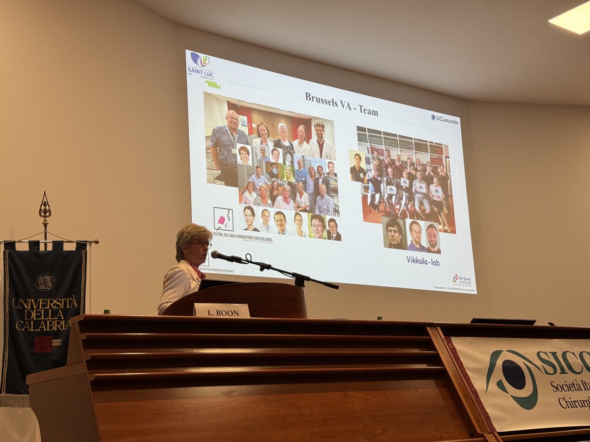 MiikkaVikkula's tweet photo. Most interesting presentations during the annual meeting of the Italian Society of ophthalmosurgery. Prof Laurence Boon underscoring #collaboration #multidisciplinarity and #networking in her keynote on #Vascular anomalies. #vascern #vascapa #revamp #theralymph #hevas #cmtc https://t.co/hq4WNxqnKT
