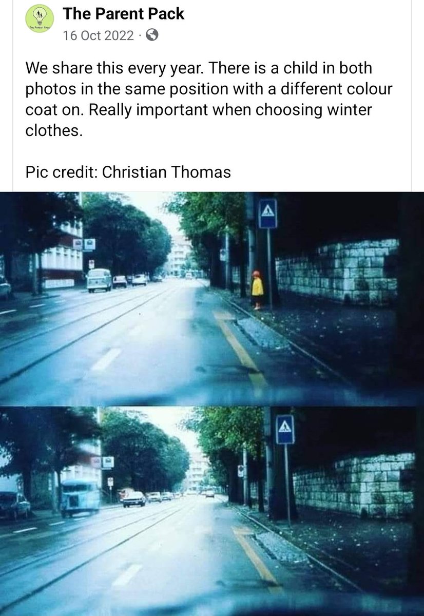 Suzanne Cleary 💙 tweet media