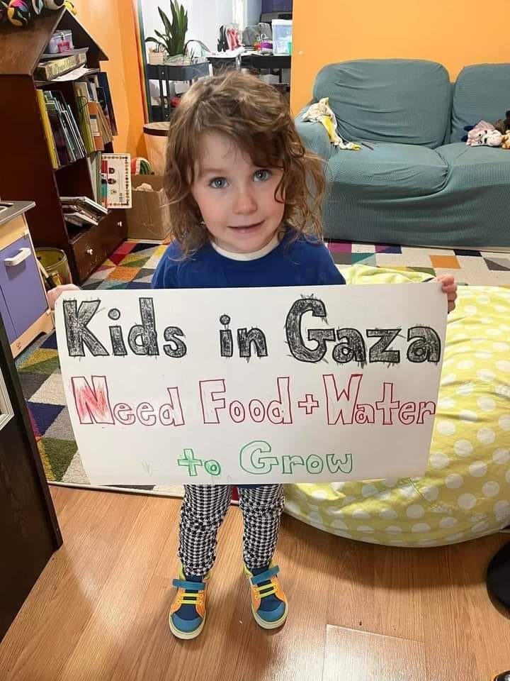<a href="/elonmusk/">Elon Musk</a> #Palestine need help