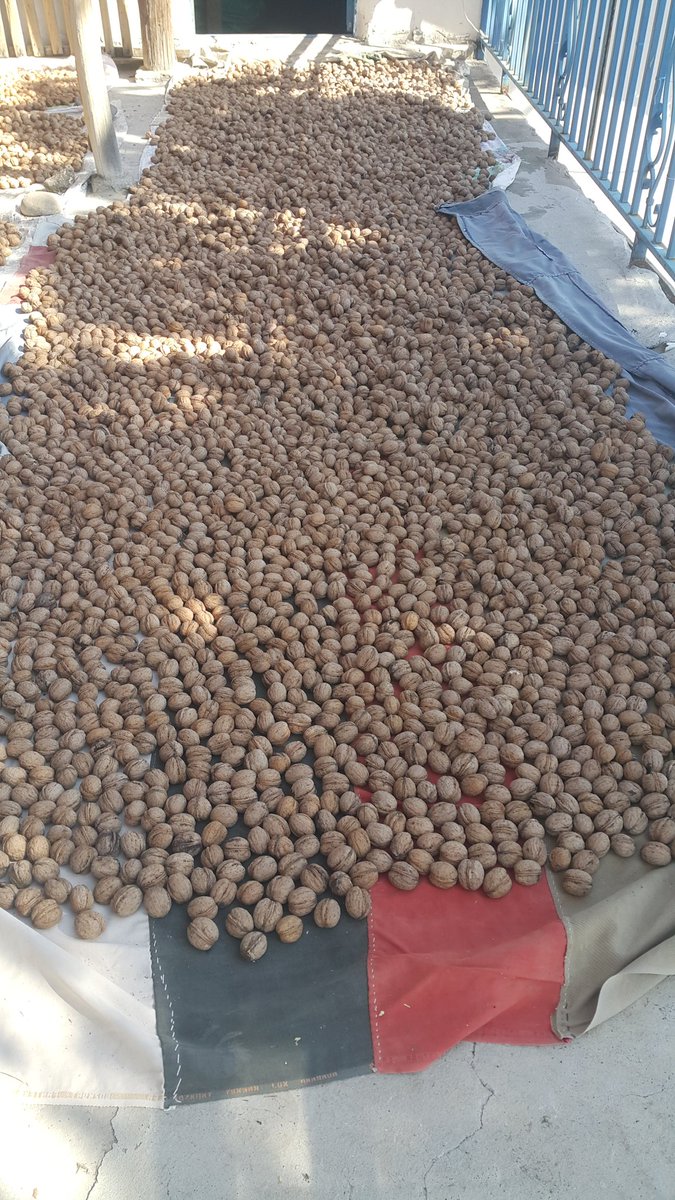 Yerli ceviz isteyene gönderim sağlanır