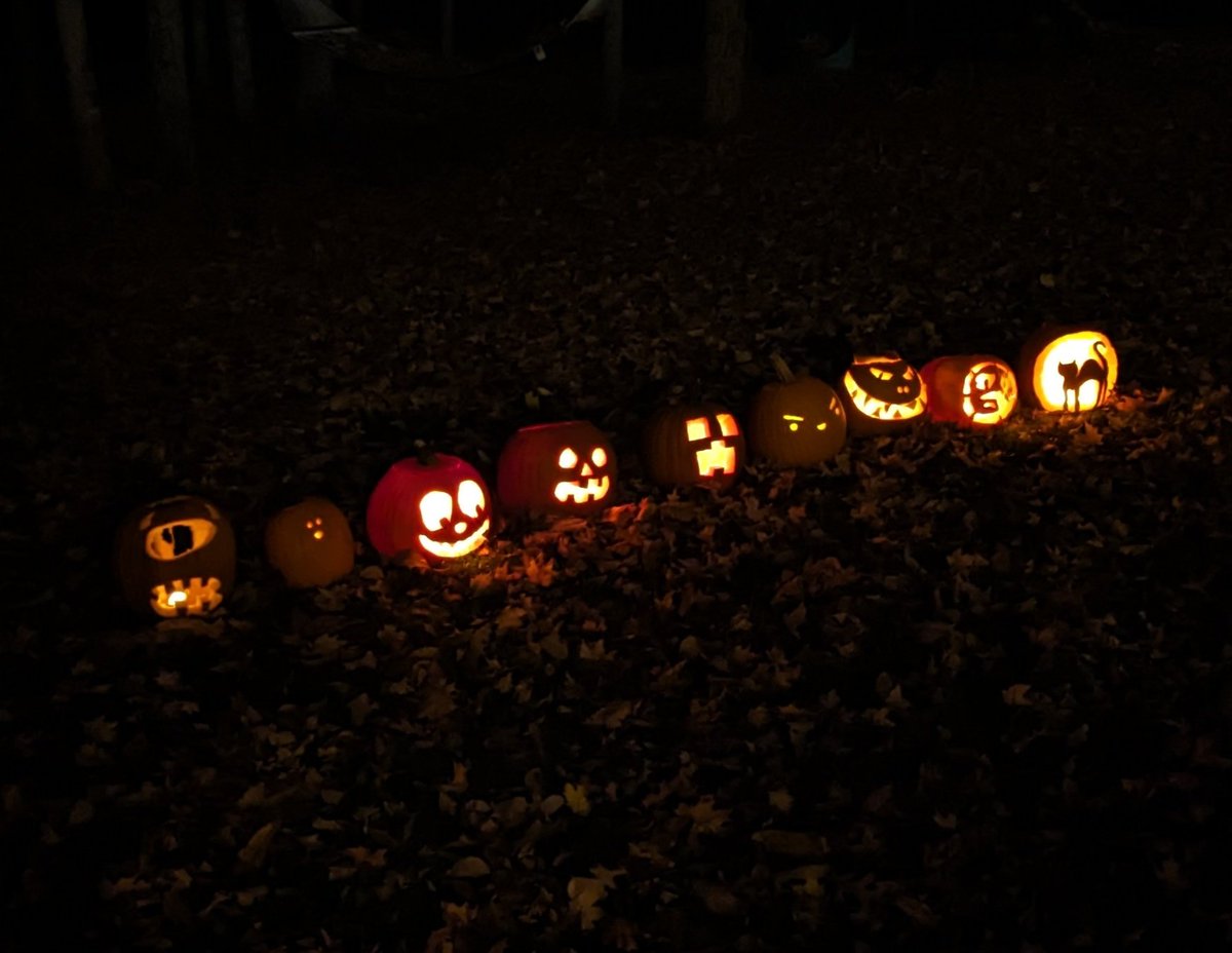 Pumpkin carving in collaboration with <a href="/Biolluminator/">Julia van Kessel</a>'s lab. The black cat carved by Biochem rotation student Kennadi Shumaker was voted 1st prize by my kids.