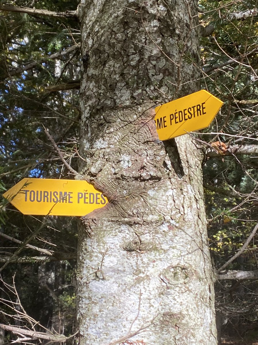 Stéphane Deleury (@sdeleury) on Twitter photo Le temps fait son œuvre. La nature. Le dessus. Tout ça. Le temps fait son œuvre. La nature. Le dessus. Tout ça.