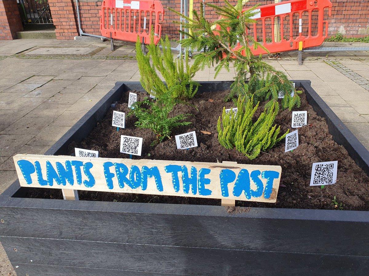 After speaking to residents on a street surgery, spotted these outside St Monica's primary on the way back: plants from the past &amp; plants around the world. Lovely!