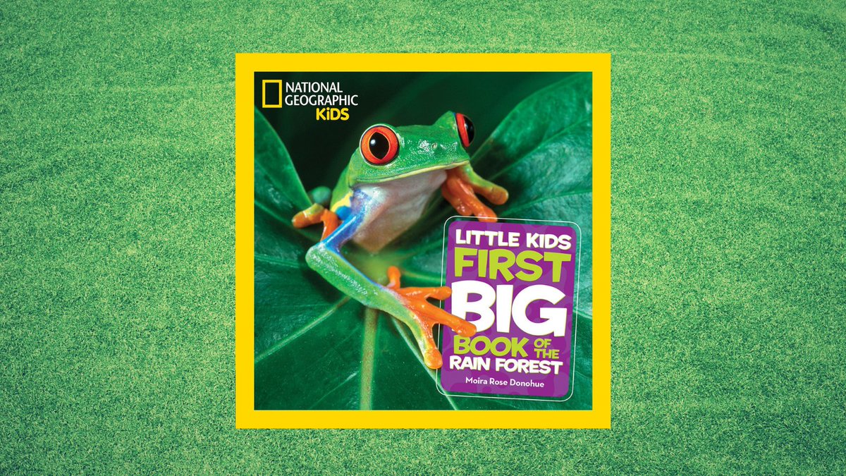What do snakes, jaguars, butterflies, and treefrogs have in common? They're all at home in the rainforest! Find out more about these and other amazing animals! amzn.to/3FAdRHz #rainforest #rainforestanimals #animals #nature #jaguars #poisondartfrog #treefrogs #sloths