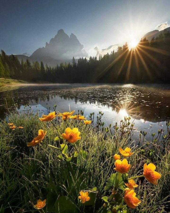 Happy saturday☀️