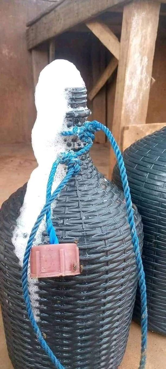 ChibuezeRain's tweet photo. Rich man pikin go think say nah detergent they inside.🤣 https://t.co/6MwunGy6xm