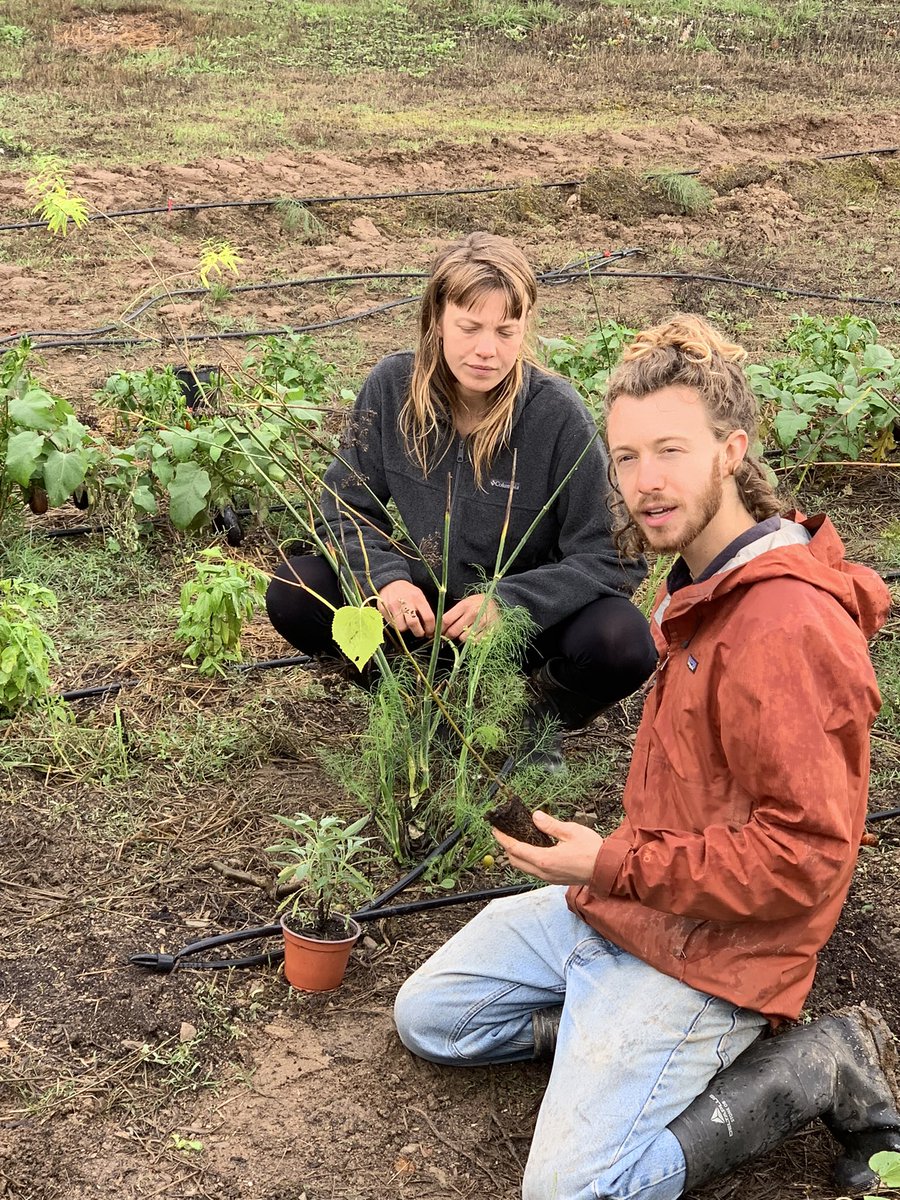 Monty Merlin Bryant 🧙✨ tweet media