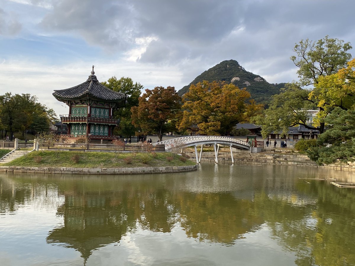 Gustavo Galvis tweet media