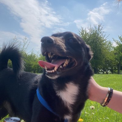Brenbiche's tweet photo. #NouvellePhotoDeProfil https://t.co/y4iIkgnYVX