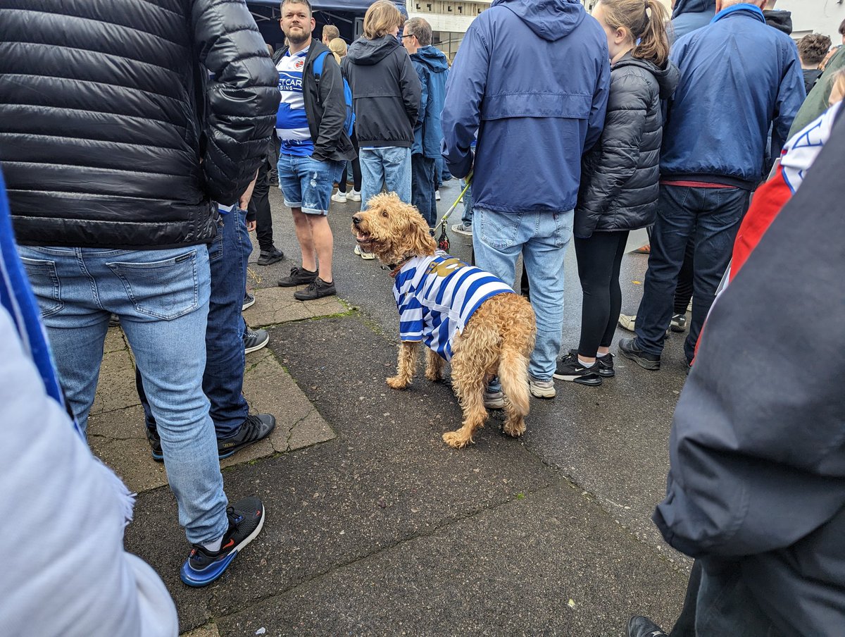 We have a Reading dog!