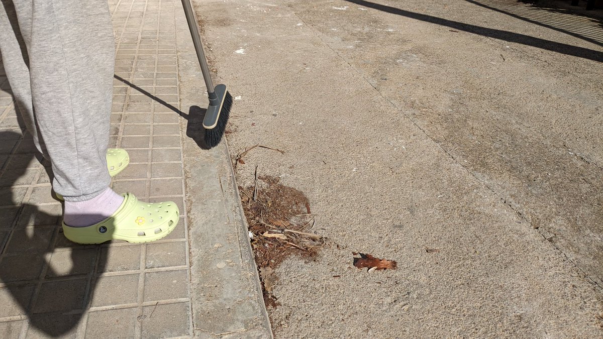andreuserret's tweet photo. No teniu vergonya @Aj_Tiana @MediambienTiana. Des del dimarts esperant. Es fa petició i et contesten que venen dues vegades a la setmana 😱 Ja està bé d'enganyar‼️ Vivim aquí, sabem la realitat que hi ha. 🪣 Quan vindreu a netejar els contenidors @amado_nuria? No vale con barrer https://t.co/Ks5gGOcs1f