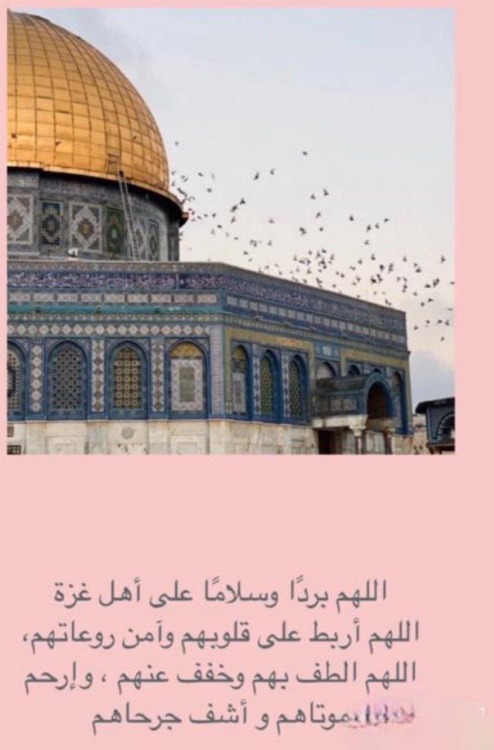 ‎♪┏(°.°)┛الحوت♪┏(°.°)┛ tweet media