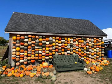 Holankdahlil's tweet photo. How cute is the decoration of this house🥰🥰 https://t.co/upeQKUHROh