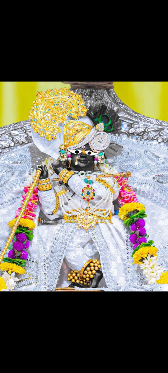 Sriradharaman's tweet photo. शरद पूर्णिमा दर्शन 🤍 https://t.co/CeRqzL7S73