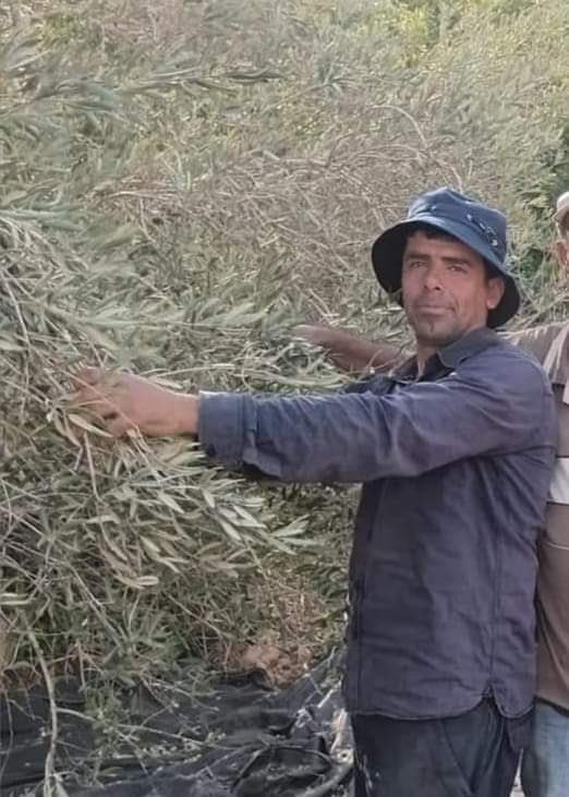 ytirawi's tweet photo. A brutal terrorist attack by Israeli settlers

Israeli terrorist settlers ambush a group of Palestinian farmers harvesting olives on their own private lands near Al-Saauiya south Nablus. The settlers approach the farmers &amp; slaughter a 40 yo man Bilal Saleh &amp; then go home https://t.co/VZqQLUoqnf