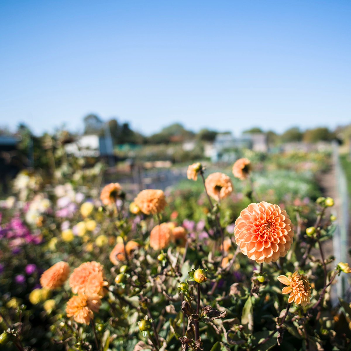 We are experts in developing green and brownfield locations, challenging sites, and speculative developments. We are always looking for new opportunities. If you are a landowner or potential investment partner, we would like to hear from you. 
#PropertyDevelopmeny