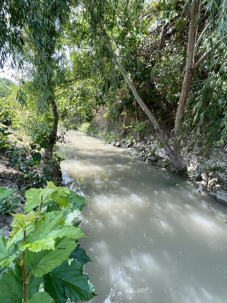 🍋 SORTEO ruta huertana 🍋

Y para celebrar que ya somos más de 10000 esta vez incluirá un almuerzo huertano 🫒🥖🍺🧀

Para participar:
   🌶️ Síguenos 🤗
   🌶️ Retuitea 🔄

🏆Ganador ➡️ 1️⃣ noviembre

Te enseñaremos lugares como este…