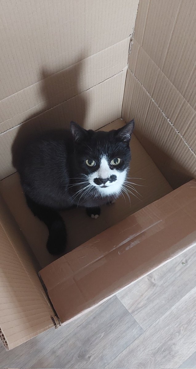 Lucy scragg tweet media