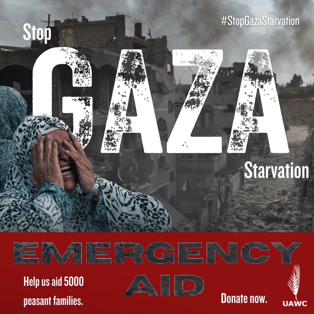 Heeding the calls of our community, we are launching an international aid campaign to support the countless suffering families in Gaza &amp; Area C of the West Bank. 

Donate now: uawc-pal.org/gaza/?fbclid=P…

#StopGazaStarvation 
#gazagenocide