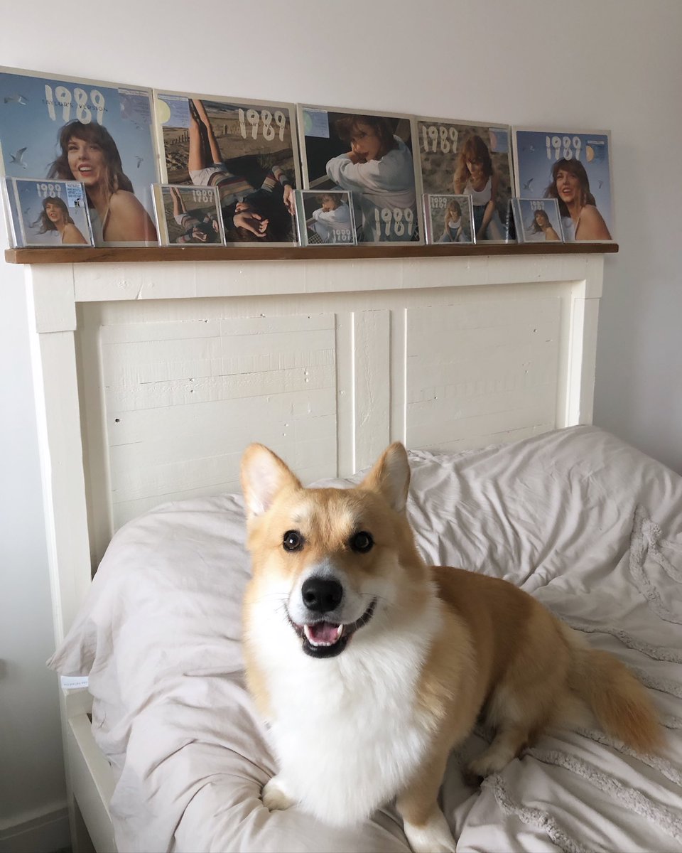 I would stay forever if you say, "Don't go" 🐾 
They have arrived!!  📦 
#1989taylorsversion 🩵
<a href="/taylorswift13/">Taylor Swift</a> 🐚
<a href="/taylornation13/">Taylor Nation</a> 🫧