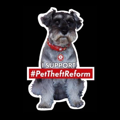 Fifth & final @HoCpetitions #PetTheftReform petition is stuck at 36,987 signatures. Think the Government should recognise the emotional & welfare impacts this crime has on people & pets? Please SIGN & RT to help make ‘pet abduction' a specific criminal offence