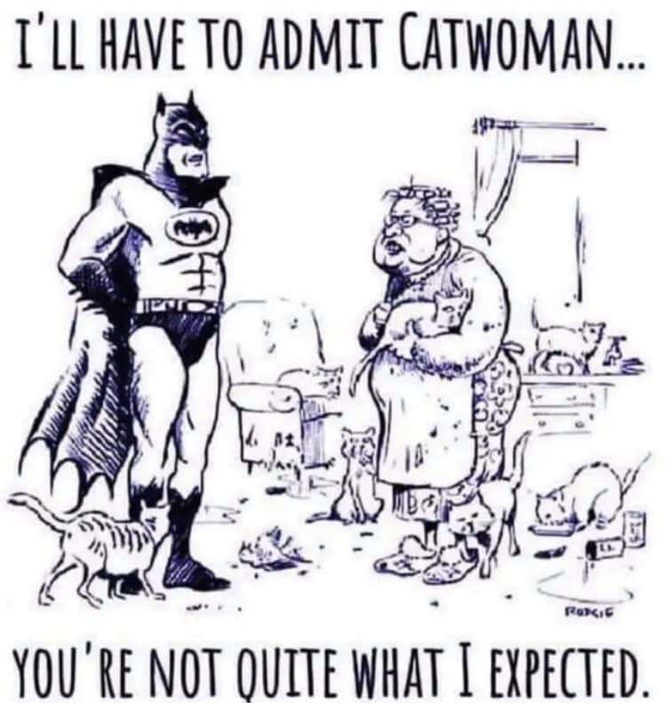 BeaconAnimalNJ's tweet photo. Have a super #Caturday! https://t.co/2i65XDjn3z