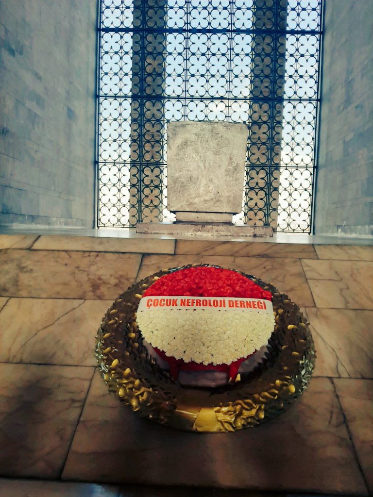 CUMHURİYETİMİZİN 100. YILI KUTLU OLSUN
<a href="/cocuknefroloji/">ÇocukNefrolojiDerneği</a> 
#100yildacocuknefrolojikongresi