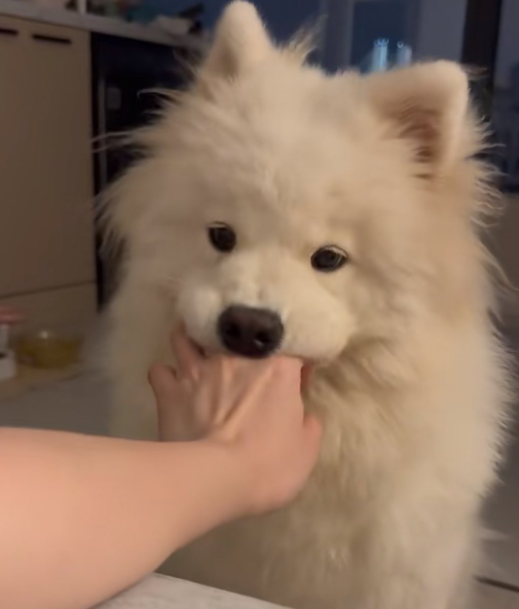 yoxrgravity's tweet image. เมื่อไหร่จะหยุดจิ๊จ๊ะกับคนอื่น