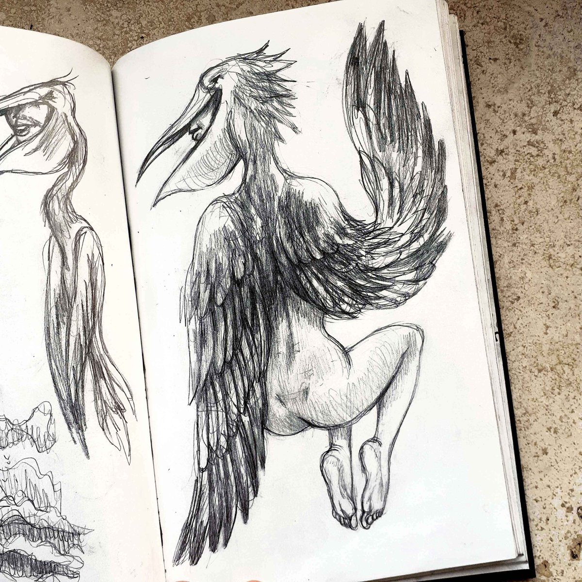 DarioMekler's tweet photo. Pelican
Part of a collection of 1/1 #sketchbook pages released as #objkts
1/1 edition
5 Tez
https://t.co/3kiHbi2il0
#NFTCommunity #NFTCollection #drawing #tezosart #pencil #dariomekler #tezos #characterart #bird #feathers #drawing #artwork #girl https://t.co/jld4OEbWtW