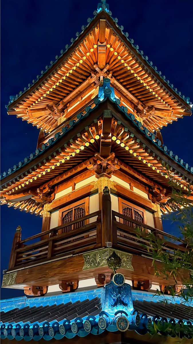 mist雨澪 tweet media